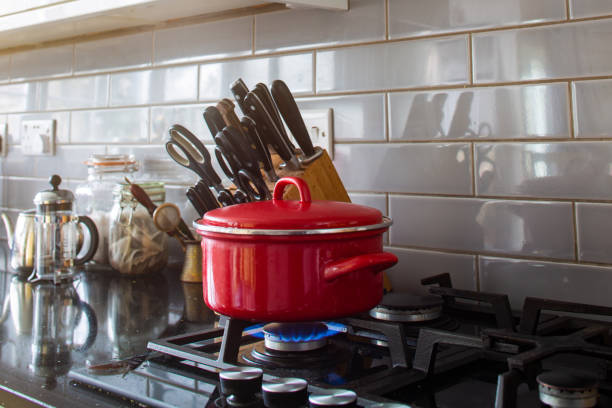 Beyond the Kitchen: Innovative DIY Projects Using Cookers