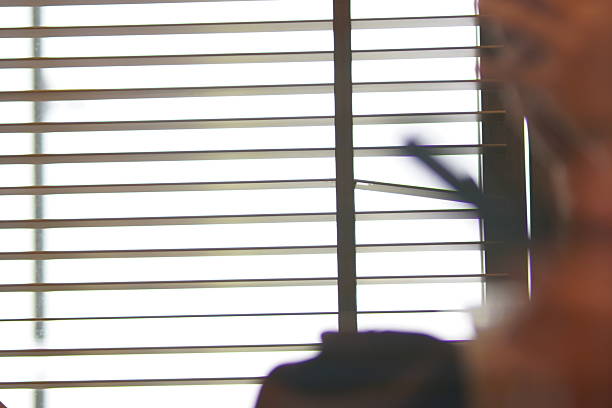 Crafting Light and Privacy: DIY Custom Blind Projects