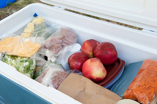 Beyond Frozen Food: Creative DIY Freezer Projects