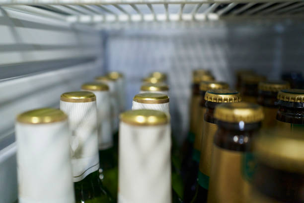 Chilled to Perfection: DIY Beverage Cooler and Mini Fridge Projects