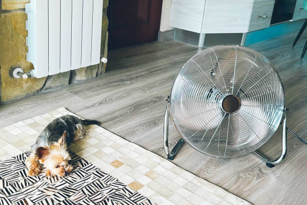 DIY Evaporative Coolers