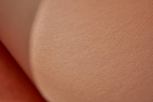 The Art of the Seamless Stain: Preventing Lap Marks on Large Surfaces