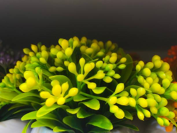 The Art of Reviving Realism: The Best Way to Clean Dusty Artificial Plants