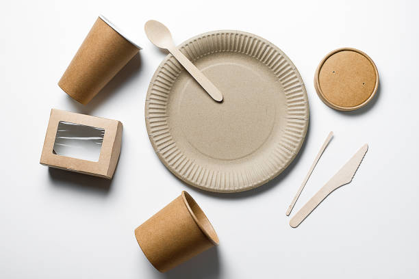 Transforming Disposable Dinnerware into an Eco-Friendly Choice