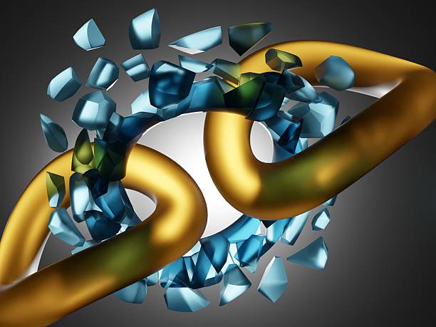 A Guide to Securing Trustworthy Local Window Installers