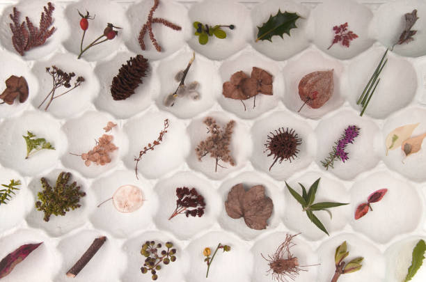 The Delicate Art of Restoration: Choosing the Best Adhesive for Loose Leaves and Petals