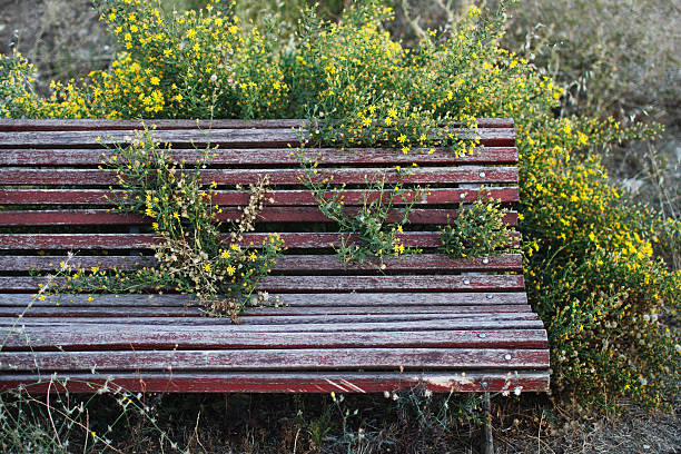 Yes, You Can Build a Weather-Resistant Outdoor Entryway Bench