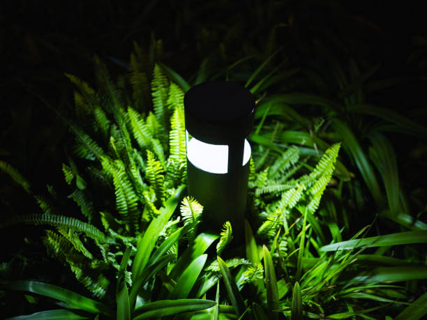 Installing Landscape Lighting