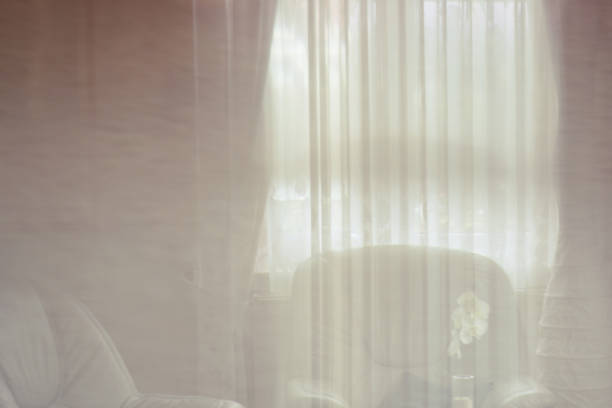 Mastering the Mix: A Guide to Styling Sheer and Blackout Curtains Together