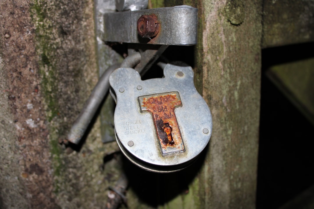 The Right Electric Kettle for Your Kitchen