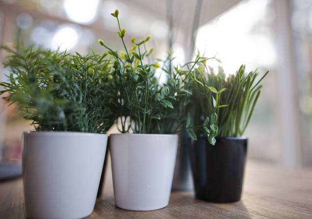 Selecting the Perfect Artificial Plants for Your Space