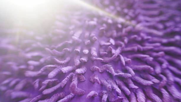 The Ultimate Mop for Conquering Large and Heavily Soiled Floors