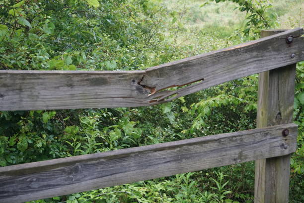 How to Fix a Wobbly Railing or Fence Post for Lasting Stability