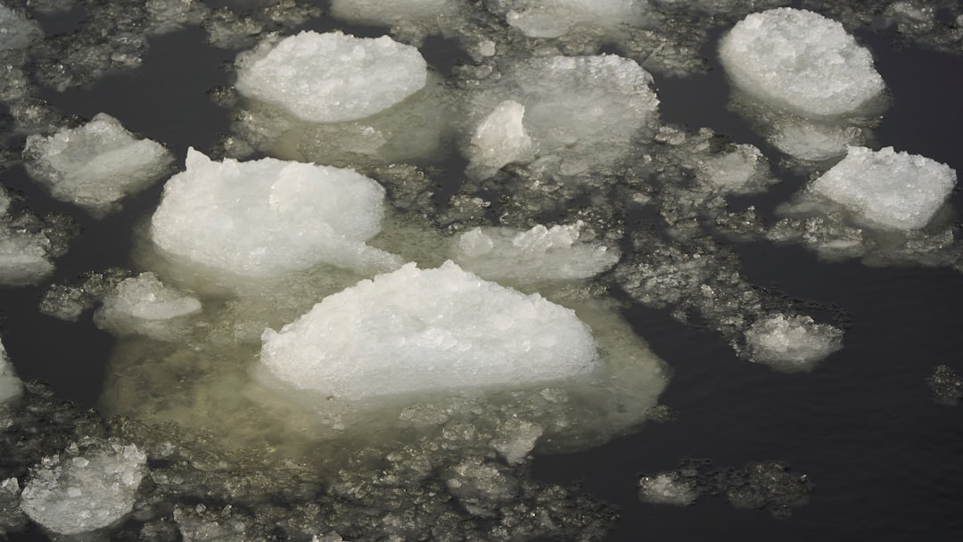 How to Fix a Frozen Dehumidifier Coil and Restore Performance