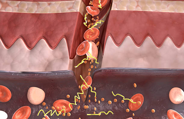 Navigating Conduit Capacity: A Guide to Running Multiple Wires Safely