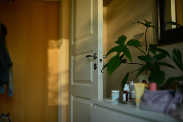 Choosing the Ideal Door for Your Compact Bathroom