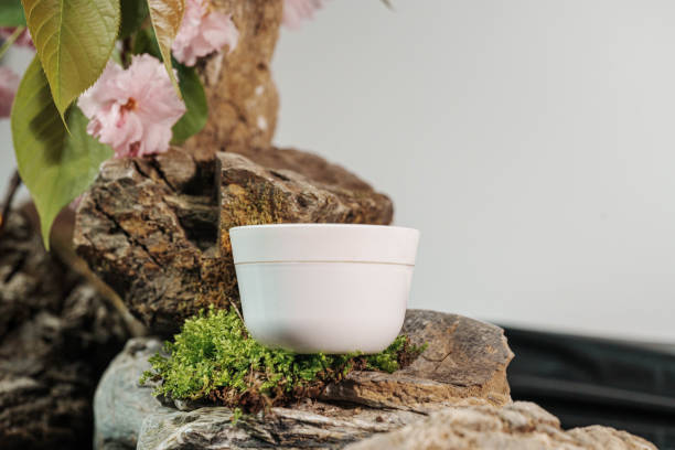 The Art of Safely Moving Your Handcrafted Ceramic Dinnerware