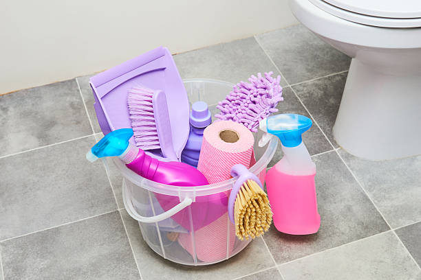 The Art and Science of Bathroom Cleaning