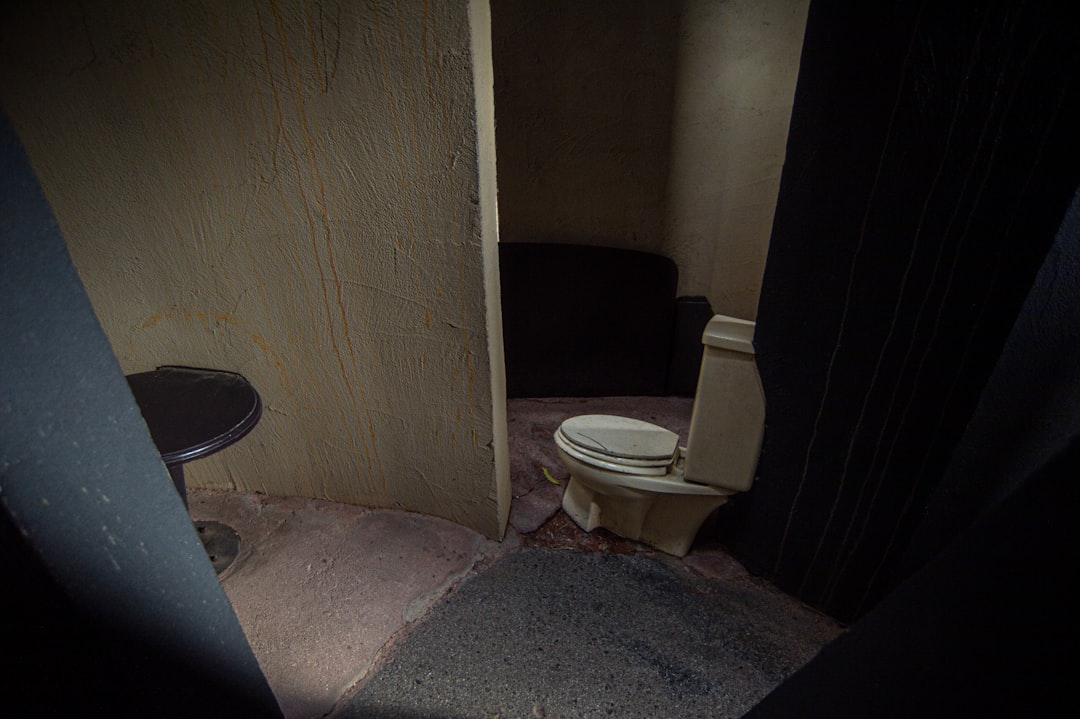 Mastering Basic Toilet Repairs: A DIY Approach