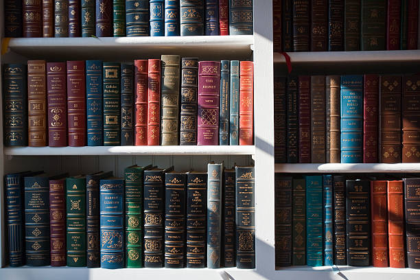 Crafting a Weatherproof Outdoor Bookcase: A Guide to Literary Al Fresco