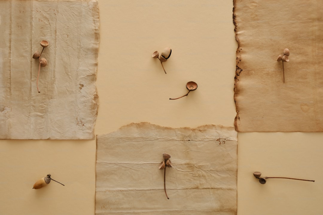 Effective Strategies for Protecting Your Annual Flowers from Pests