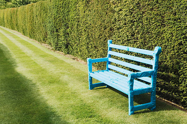 From Forgotten Trunk to Functional Storage Bench