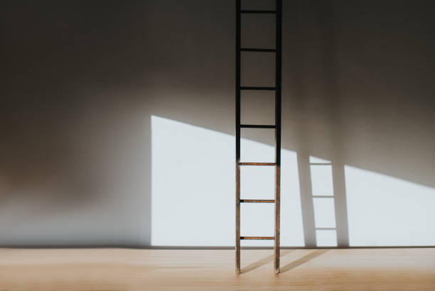 Choosing the Ideal Ladder for Indoor Home Projects