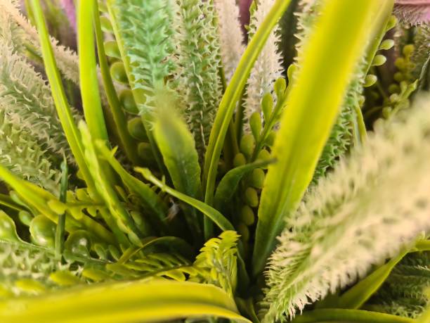 The Art of Illusion: How to Make Artificial Plants Look Convincingly Real