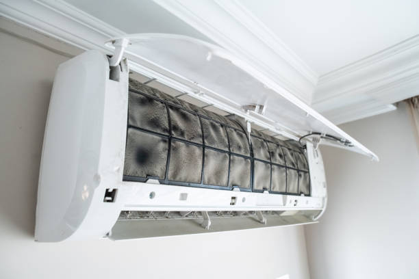 The Essential Guide to Cleaning Your AC Condenser Unit for Peak Performance