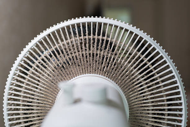 A Homeowner’s Guide to Safely Cleaning Your Dryer Vent