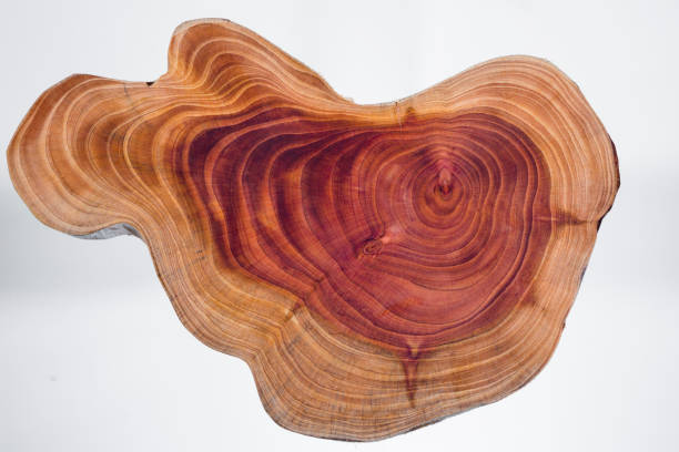 Repurpose with Character: Using a Trunk as Your Living Room Coffee Table