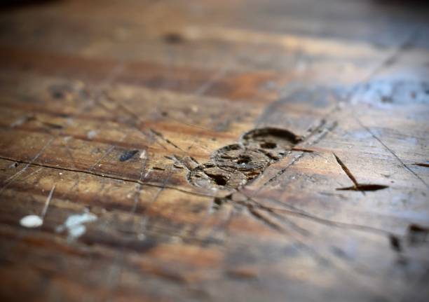 How to Fix Gaps Between Floorboards for a Beautiful, Draft-Free Floor