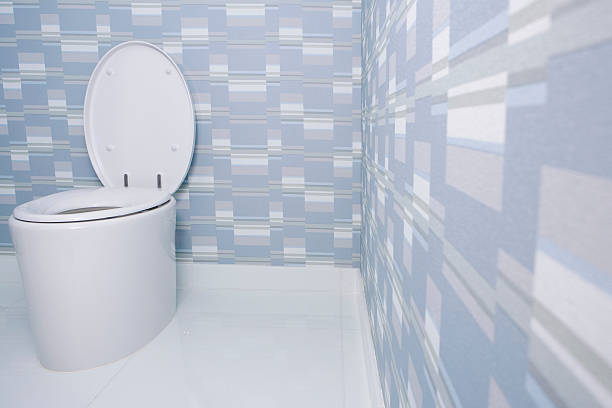 A Step-by-Step Guide to Installing Over-the-Toilet Storage
