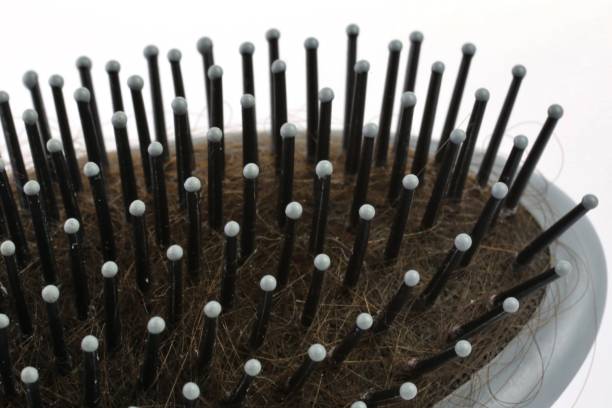 Natural vs. Synthetic Bristles: Choosing the Right Tool for the Job