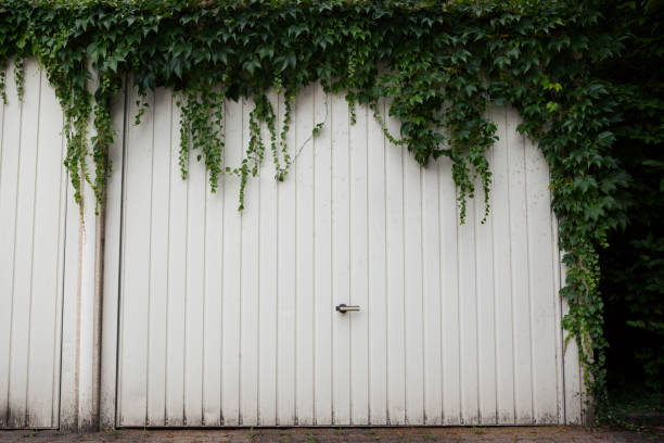 Safeguarding Your Belongings from Garage Humidity