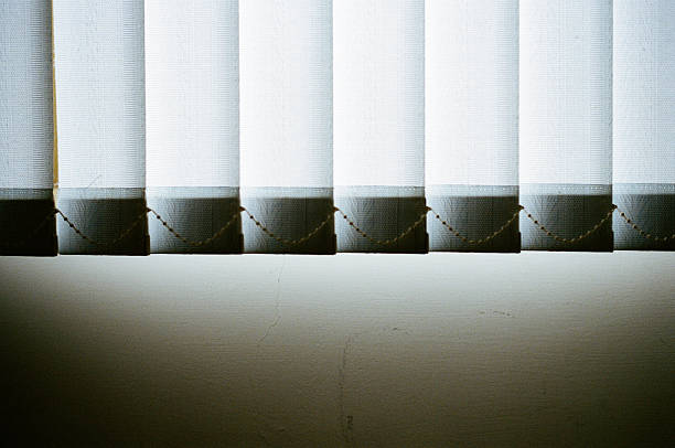 Maximizing Energy Efficiency with Mini Blinds