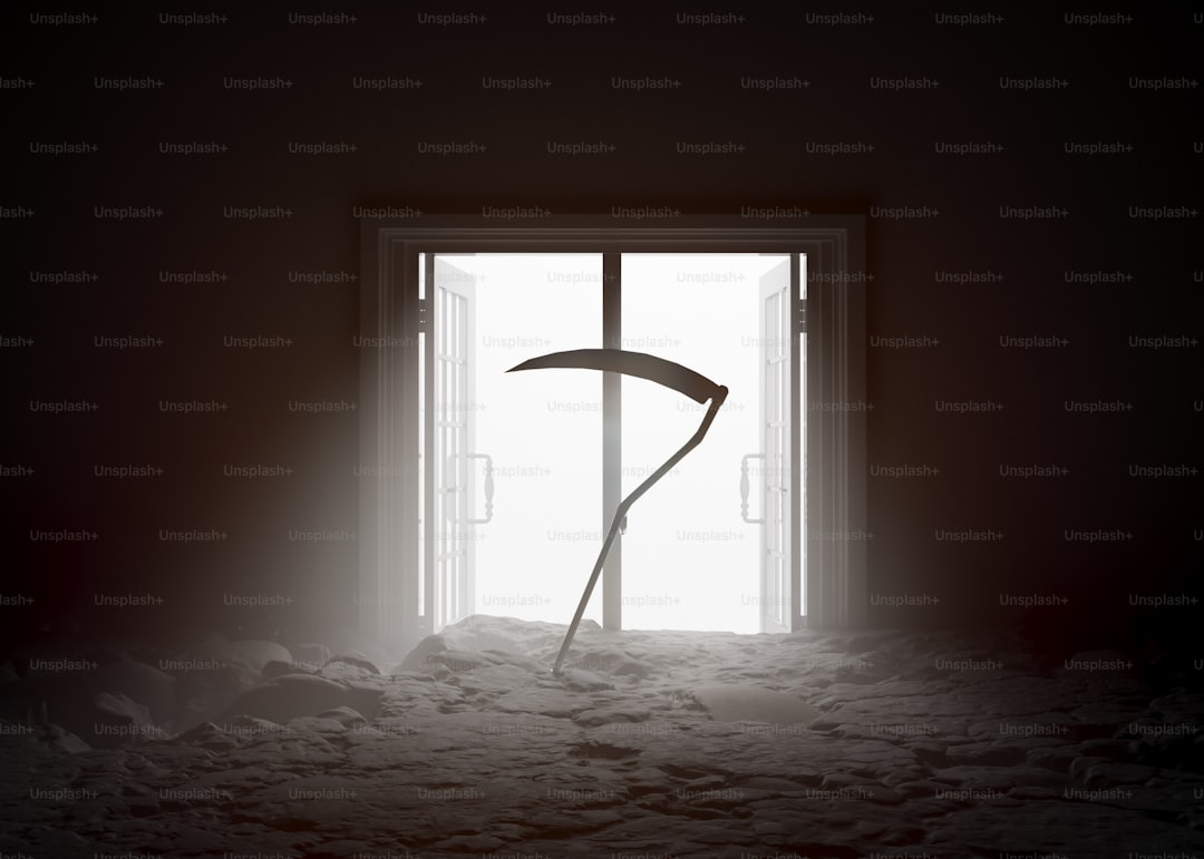 Understanding the Average Lifespan of Single-Hung Windows