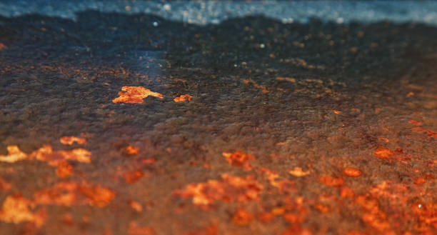 How to Restore a Rusty Baking Sheet to Its Former Glory