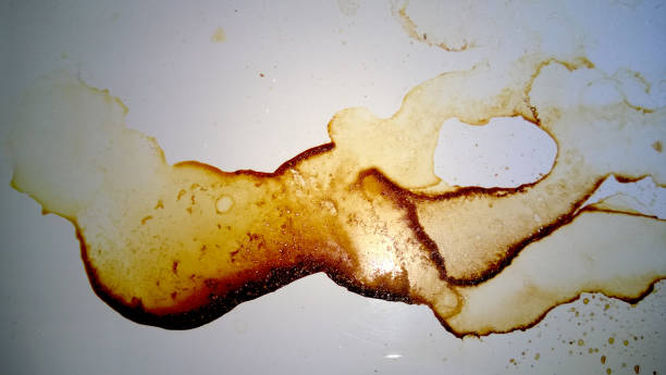 Effective Methods for Removing Rust Stains from Bathroom Surfaces