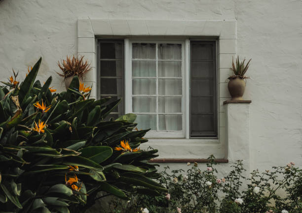 Understanding the Timeline for Window Installation