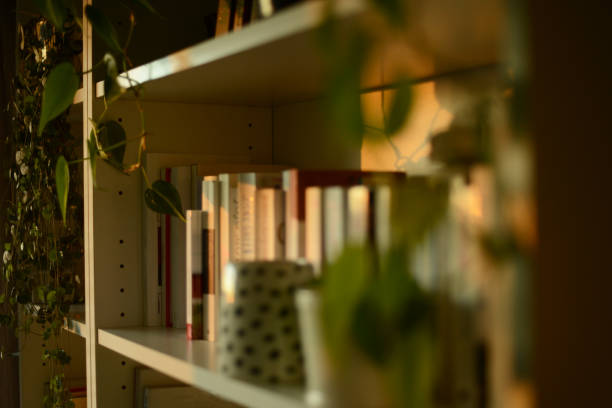The Art of the Shelf: Finding the Ideal Depth and Spacing for Your Bookcase