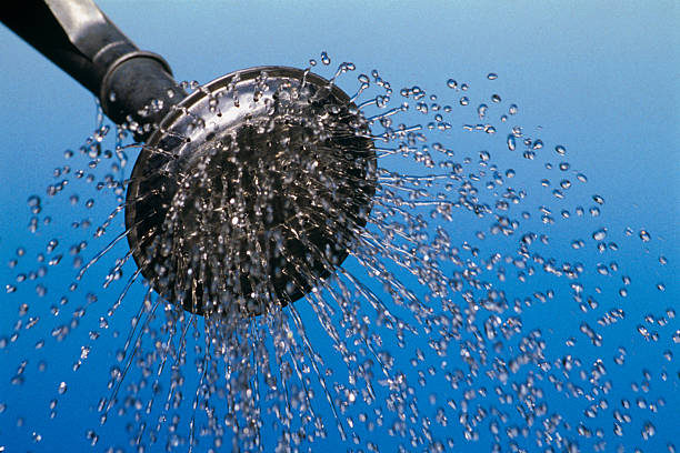 The Ultimate Guide to Removing a Stubborn, Old Shower Head