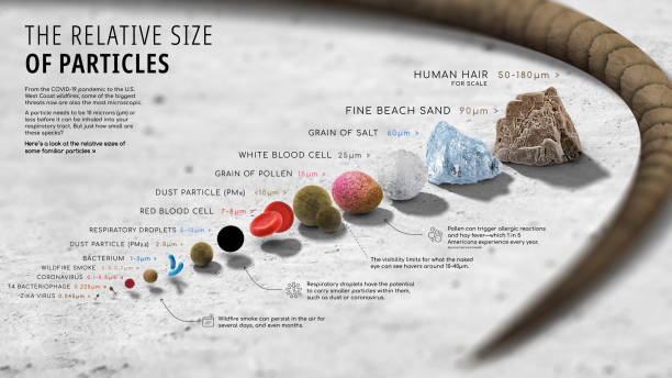 The Ultimate Guide to Choosing the Best Filling for a Homemade Comforter