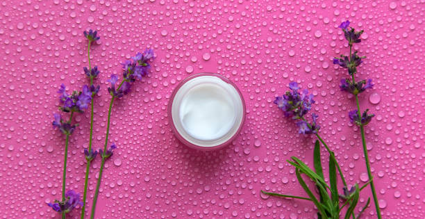 The Essential Guide to Preventing Moisture in Air Compressor Lines