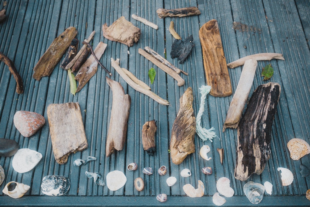 The Art of Selection: Choosing the Perfect Wood for Your DIY Table