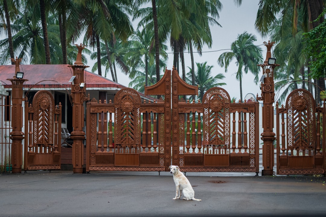 Creating a Welcoming Entryway: The Art of an Inviting Front Door