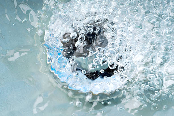 The Plunger: Your First Line of Defense Against a Clogged Drain