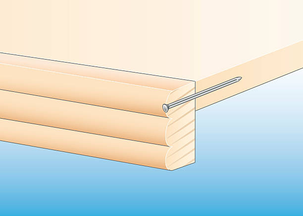 Engineering a Bookshelf: Designing for Strength and Enduring Beauty