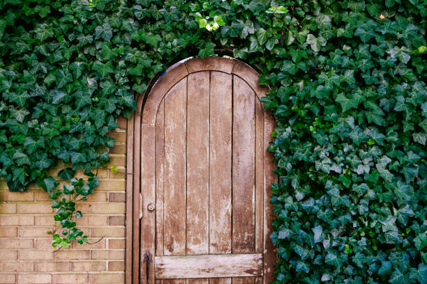 The Complete Guide to Weatherproofing Your Wooden Exterior Door