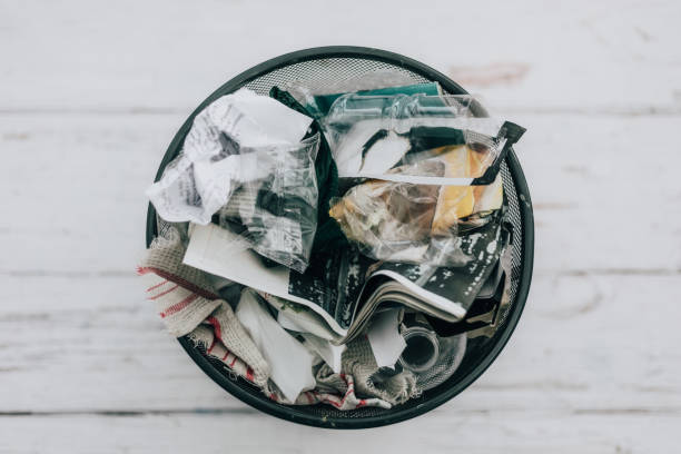 The Ultimate Guide to Refreshing Your Garbage Disposal